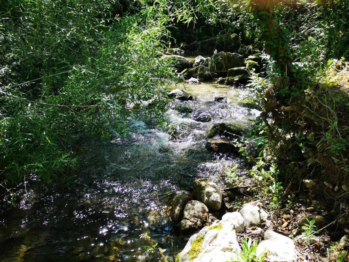 Molino Dei Ciliegi Splendida Villa In Umbria 新维南佐 外观 照片